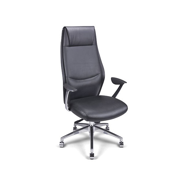 Fauteuil manager Alpha